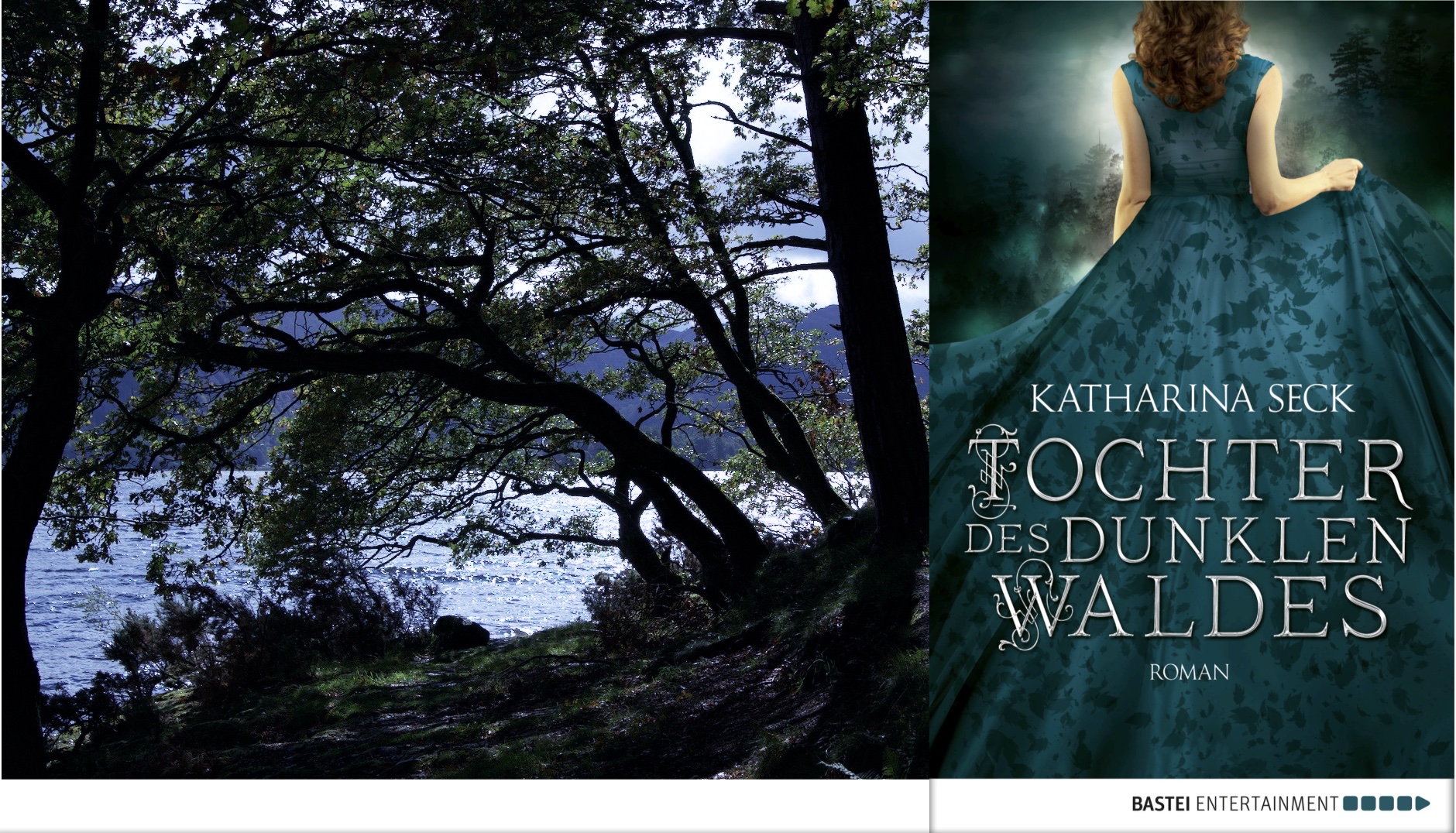 Waldbild mit dem Cover von "Die Tochter des dunklen Waldes" auf der rechten Seite. 