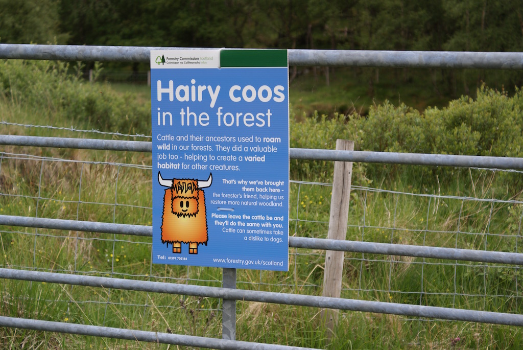 beware-of-the-coos